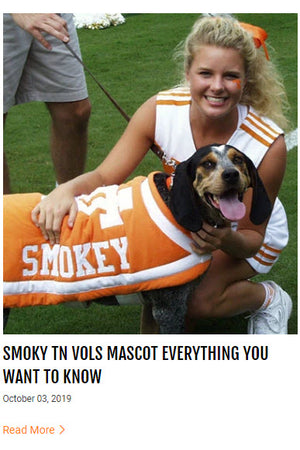 3D TN Vols Smokey Mascot Garden Flag